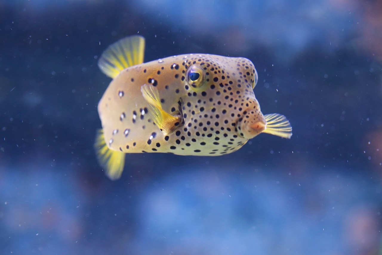 Aquazoo-Löbbecke-Museum Düsseldorf
